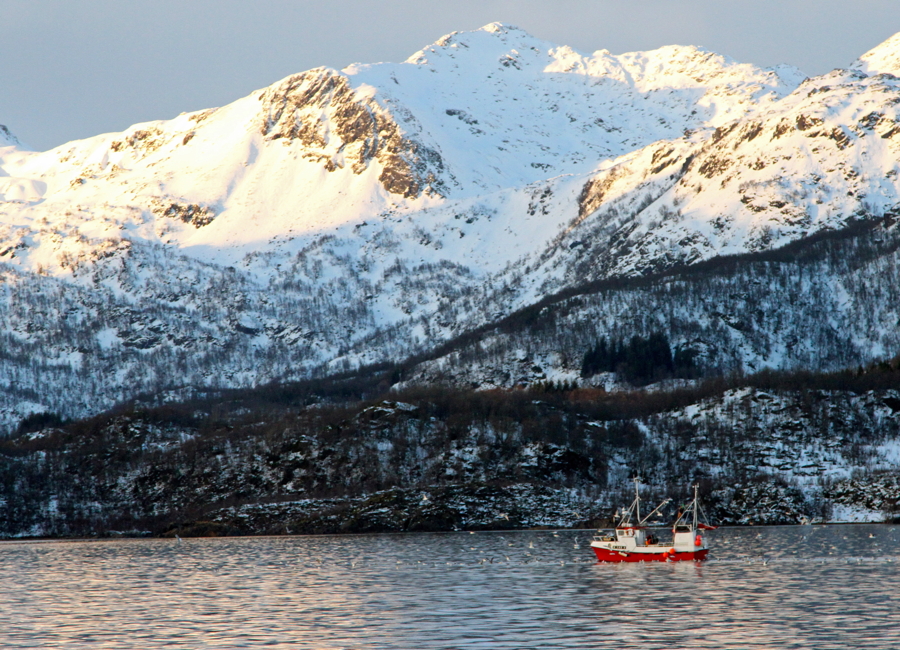 Fischerboot im Trollfjord